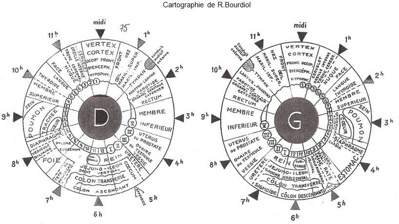 Cartographie irienne de Bourdiol, bilan de vitalité, iridologie, naturopathe rennes
