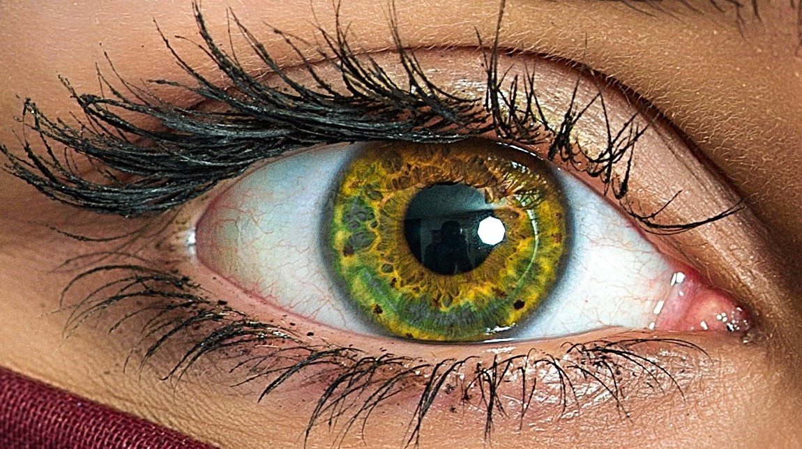 Photo d'iris, bilan de vitalité, iridologie, naturopathe rennes